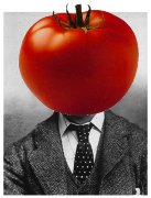 The Gentlemanly Tomato - Cooking Blog